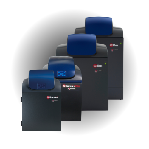 Chemiluminescence & Fluorescence Systems
