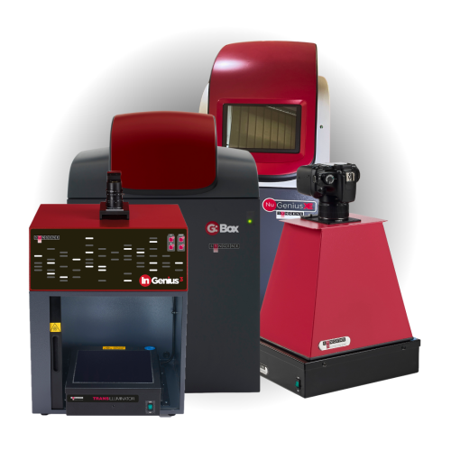 Gel Documentation Systems