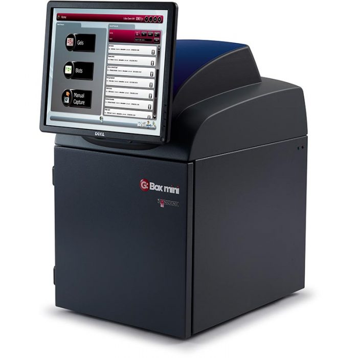 G:BOX mini gel imaging system with screen