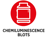 Chemiluminescence-blots